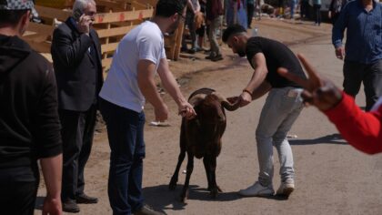 Ankara’da kurban pazarları ve kesimhanelerde yoğunluk yaşanıyor