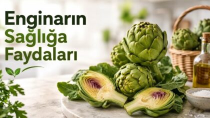enginarin-sagliga-faydalari