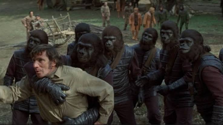 Battle for the planet of apes