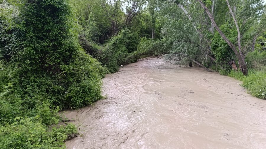Nallıhan’da sağanağın ardından çayın taşması sonucu bazı bahçeleri su bastı