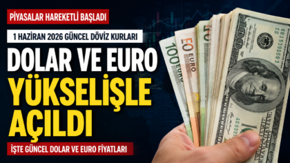 17f77023-b033-45f9-85f5-424f18d197ab