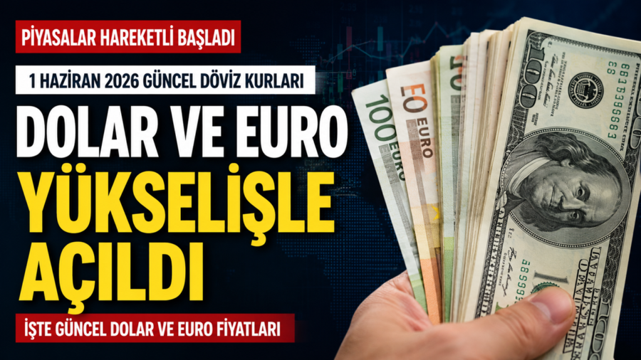 17f77023-b033-45f9-85f5-424f18d197ab