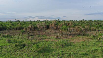 Batı Afrika ülkesi Sierra Leone’nin sahili ve doğası dronla görüntülendi