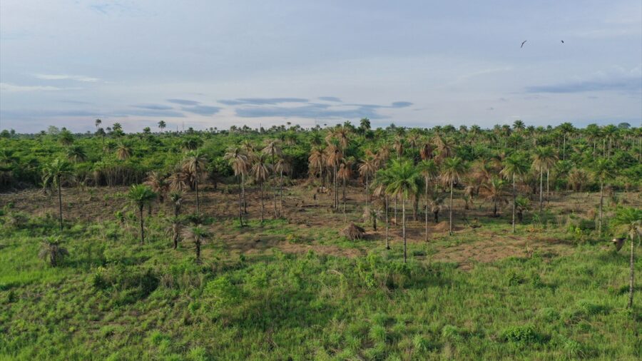 Batı Afrika ülkesi Sierra Leone’nin sahili ve doğası dronla görüntülendi