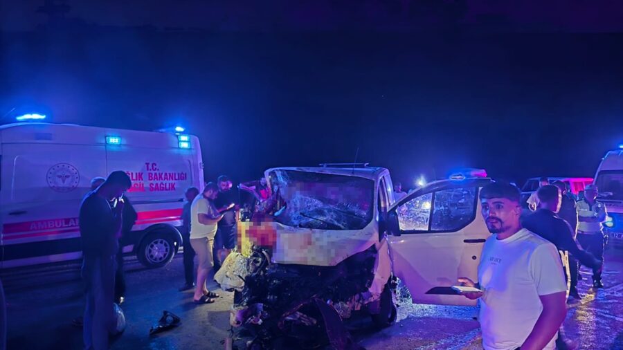 Bingöl’de ata çarpan panelvandaki 1 kişi öldü, 2 kişi yaralandı