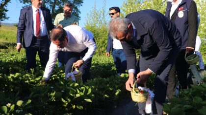 Hatay’da “Yayladağı Çilek Festivali” düzenlendi