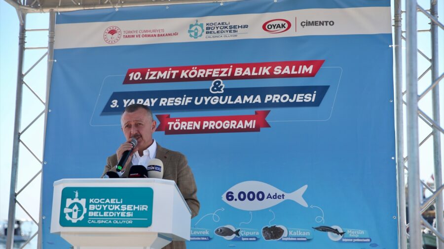 İzmit Körfezi’ne 6 bin balık ve 100 yapay resif bırakıldı
