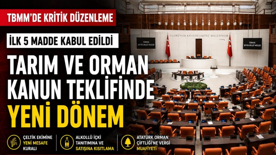 kritik-duzenleme