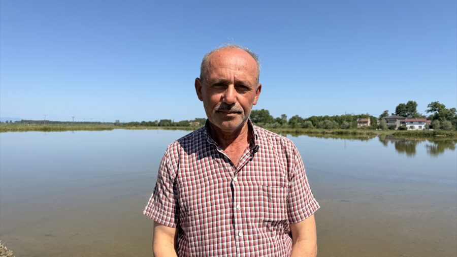 Samsun’da zirai dronla çeltik ekimi gerçekleştiriliyor