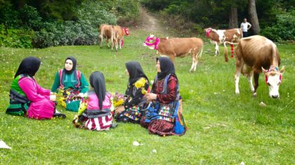 Trabzon’da yaylalara çıkış yolculuğu sürüyor
