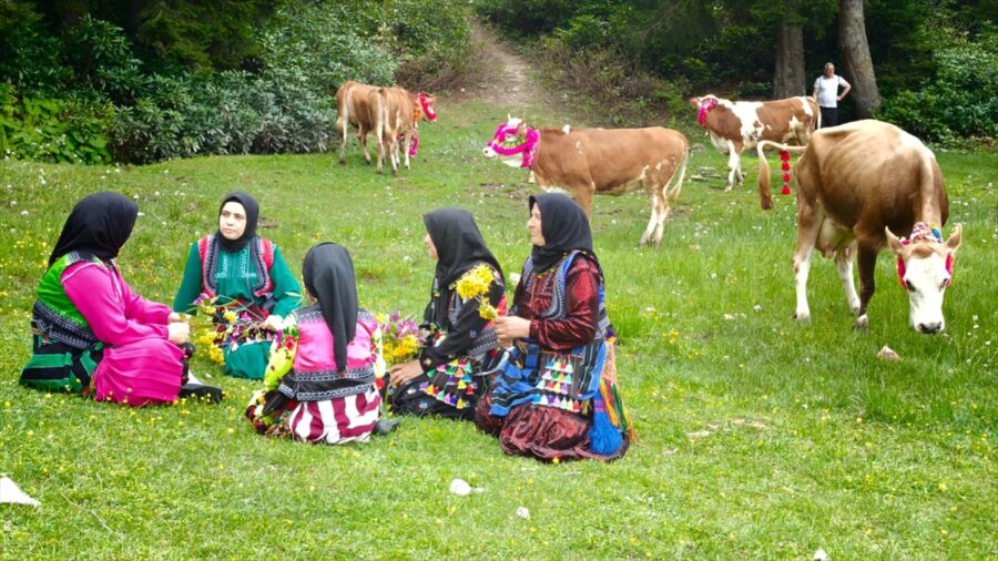 Trabzon’da yaylalara çıkış yolculuğu sürüyor
