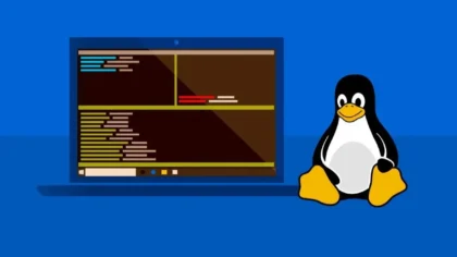 windowslinux